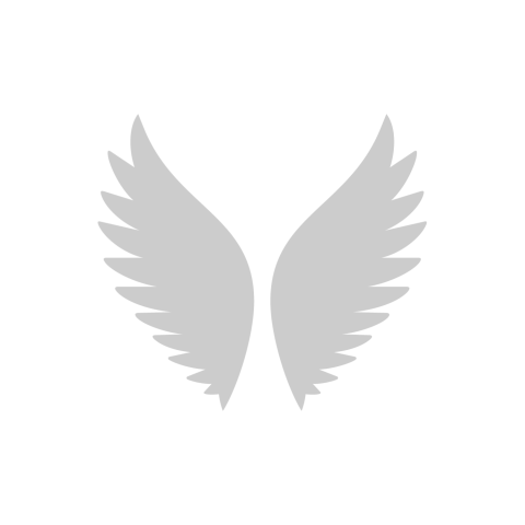 image-2962559